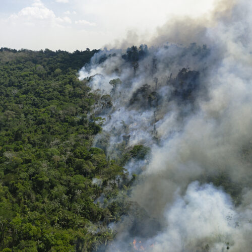 Brazilian Tool Helps Amazon Countries Fight Forest Fires