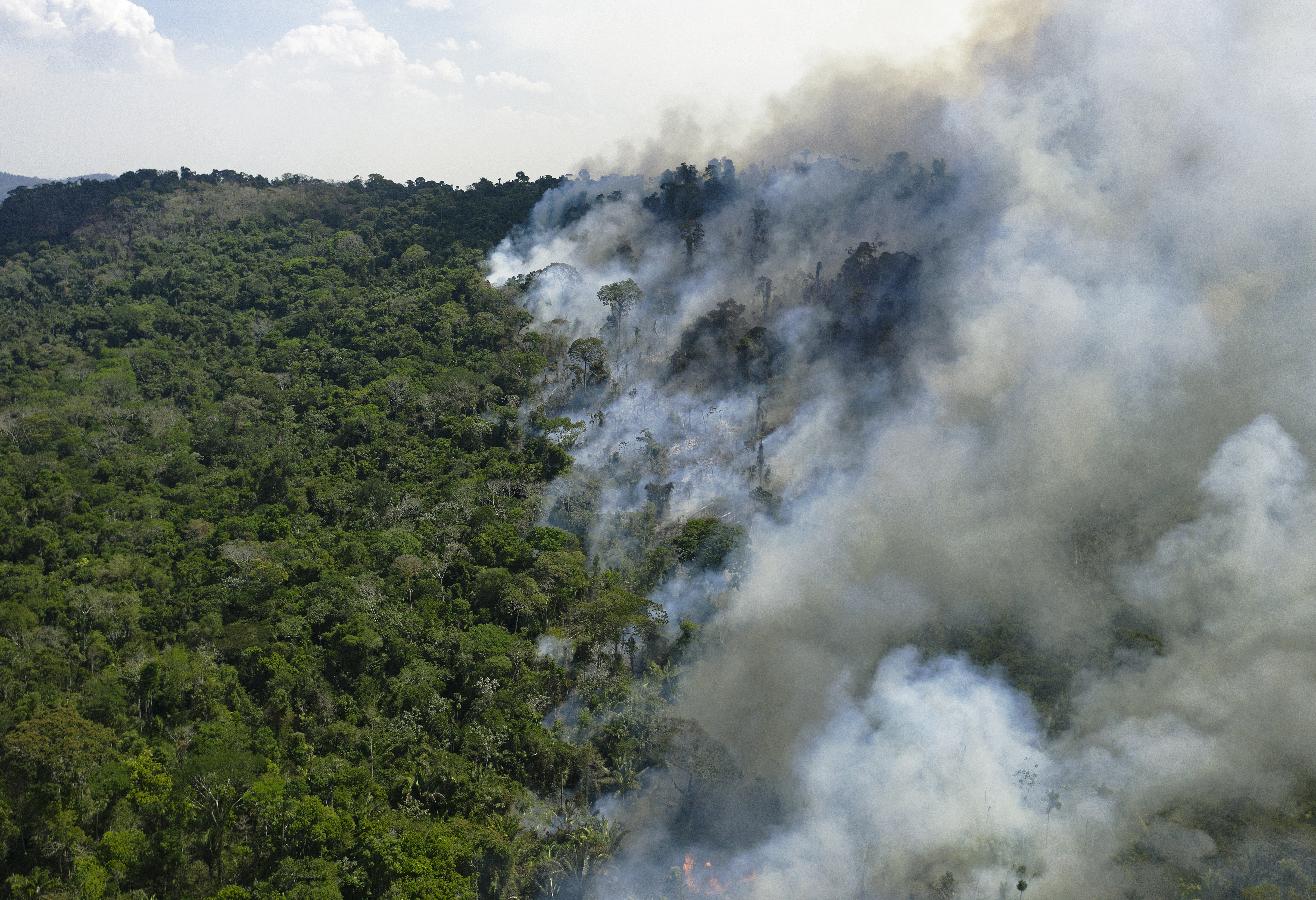 Herramienta brasileña ayuda a países amazónicos a combatir incendios forestales