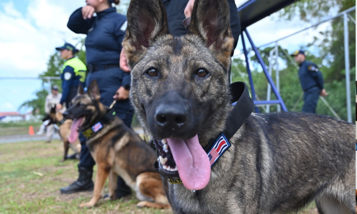 Costa Rica cuenta con nuevos agentes caninos, oficiales guías e instructores