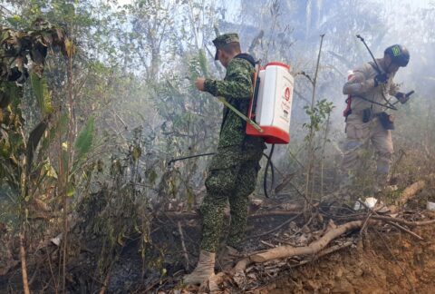 Forças Militares da Colômbia e nações parceiras testam interoperabilidade para combater incêndios florestais