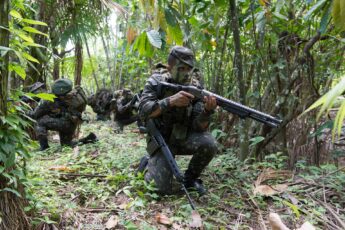 Brasil y Colombia intensifican en Amazonia lucha contra delincuencia transnacional