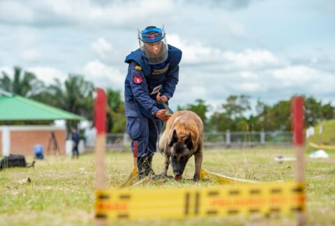 Colombia Committed to Clearing Antipersonnel Mines