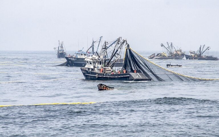 A Test of Global Governance: China’s Subsidized Fleet Challenges New Ocean Laws
