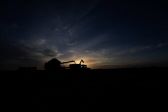 Da semente ao porto: a penetração da China na agricultura brasileira