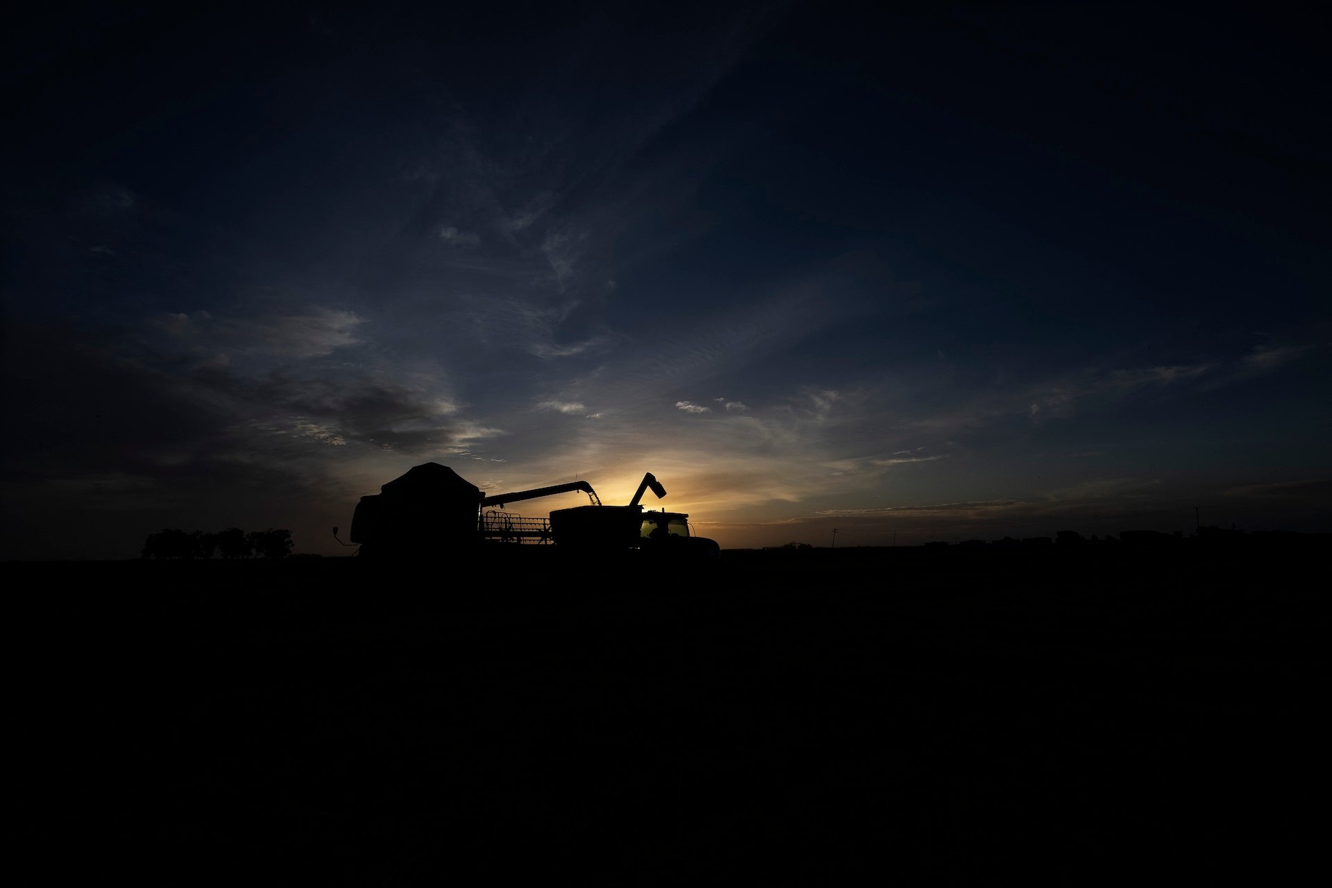 De la semilla al puerto: la penetración de China en la agricultura brasileña