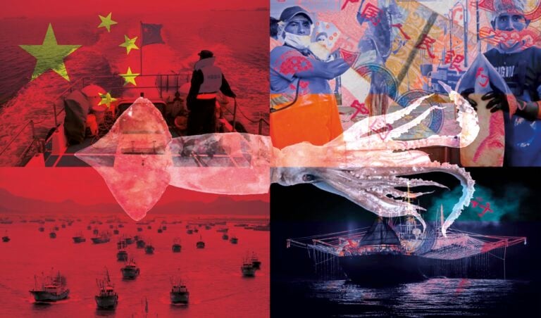 Experts Accuse Chinese Fishing Authorities of Concealing Plundering in the South Atlantic