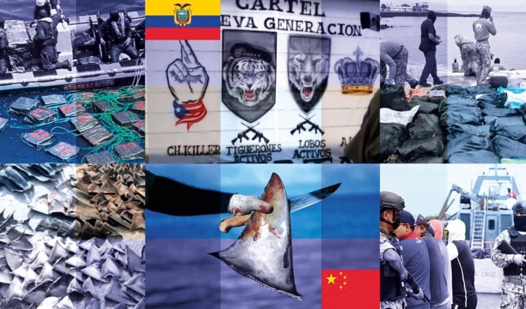 Shark Fins: How China’s Resource Hunger Fuels Ecuador’s Terrorist Organizations