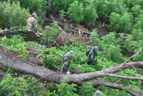 Paraguay Strengthens Cross-Border Partnerships to Counter Organized Crime