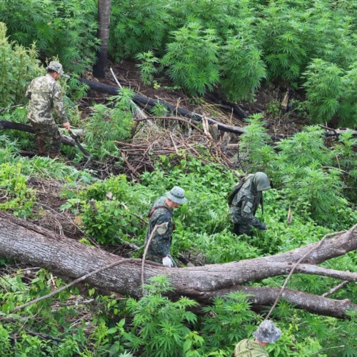Paraguay Strengthens Cross-Border Partnerships to Counter Organized Crime