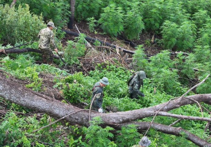 Paraguay Strengthens Cross-Border Partnerships to Counter Organized Crime