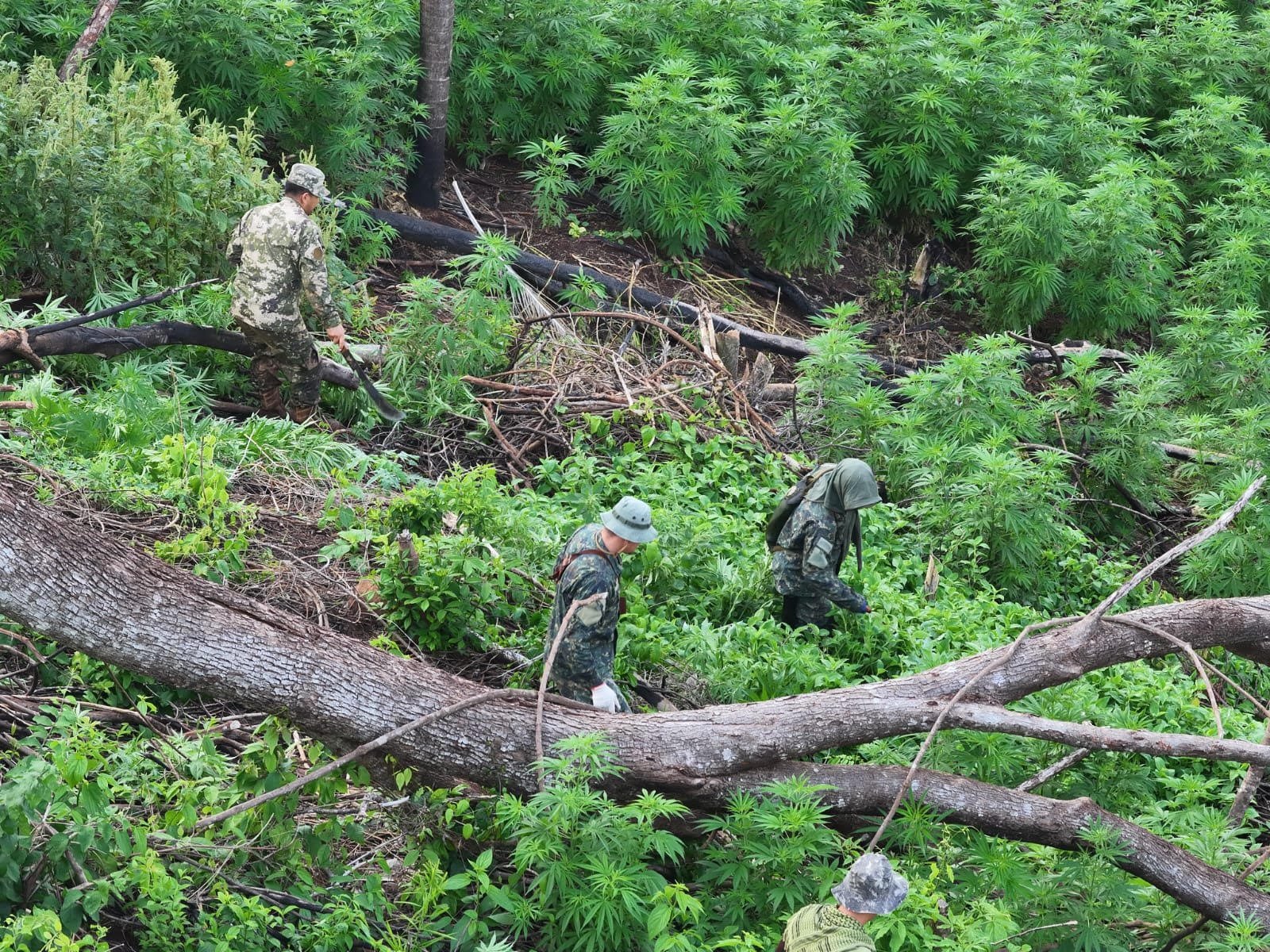 Paraguay Strengthens Cross-Border Partnerships to Counter Organized Crime