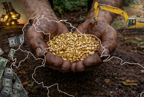 El oro de la selva: cómo la minería ilegal financia y expande el crimen organizado en el Escudo Guayanés