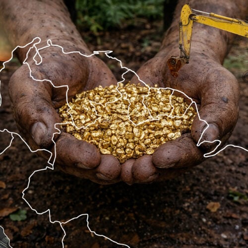 El oro de la selva: cómo la minería ilegal financia y expande el crimen organizado en el Escudo Guayanés