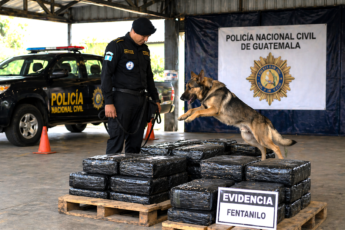 Guatemala reforça a detecção de fentanil com unidades caninas