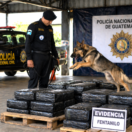 Guatemala Strengthens Fentanyl Detection Through K-9 Capabilities