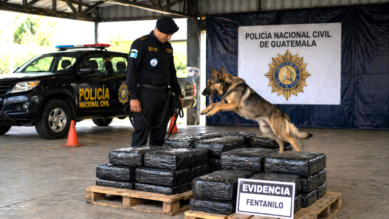 Guatemala reforça a detecção de fentanil com unidades caninas