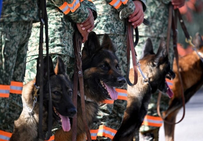 The Americas’ Four-Legged First Responders: The Critical Role of K9 Units in Venezuela’s Earthquake Response