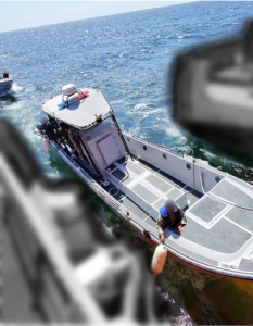 ECU Operation PULPO 