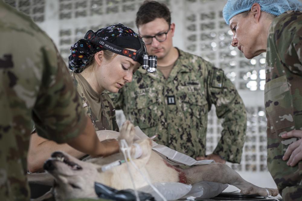 A Capitã Morgan Pate (centro), do Exército dos EUA, veterinária destacada no navio hospital USNS Comfort (T-AH 20), realiza uma orquiectomia, castrando um cão, durante a clínica de esterilização da Promessa Contínua, em San Pedro Sula, Honduras, em 4 de novembro de 2022. (Foto: Segundo-Sargento James Mullen, da Marinha dos EUA) 