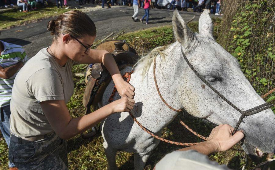 U.S. Army Specialist Caitlin Hinds, an animal care specialist with SOUTHCOM’s medical operations squadron, administers a vaccine to a horse, May 11, 2018. (Photo: U.S. Air Force Senior Airman Dustin Mullen)