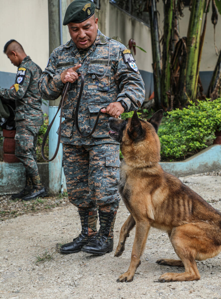 Un adiestrador de perros de la Policía Militar de Guatemala se prepara para entrar en una habitación y llevar a cabo una búsqueda de olores con su K-9, durante el CENTAM Guardián 23 en El Cerinal, Guatemala, el 20 de marzo de 2023. (Foto: Sargento de Primera Clase del Ejército de los EE. UU. Iman Broady-Chin) 