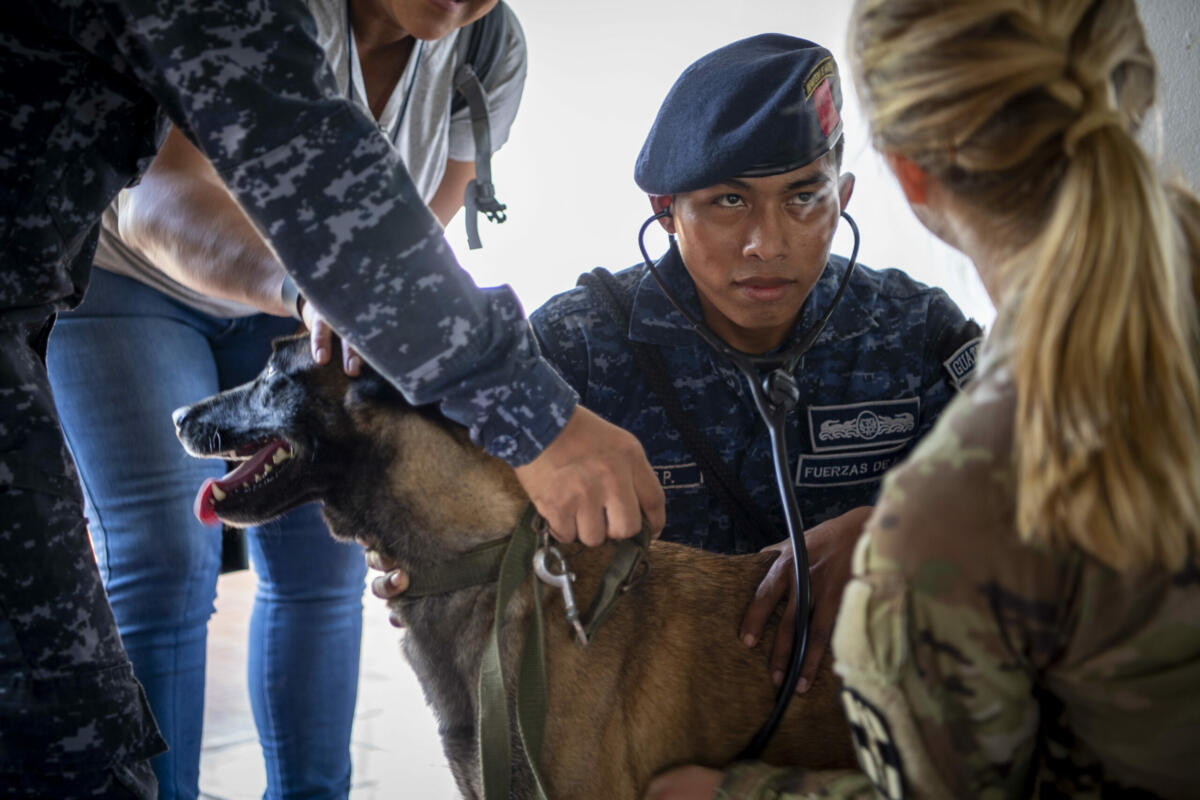U.S. Army Captain Morgan Pate (R), an animal care specialist attached to hospital ship USNS Comfort (T-AH 20), shows a Guatemalan Navy service member where to find a dog’s heartbeat during a K9 Tactical Combat Casualty Care subject matter expert exchange with personnel from various Guatemalan Armed Forces units at the Marine Infantry Brigade Airfield in Puerto Barrios, October 29, 2022. (Photo: U.S. Navy Mass Communication Specialist First Class Benjamin Lewis) 