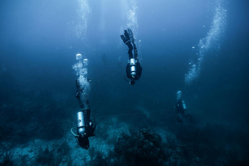 Members of the Royal Canadian Navy’s Fleet Diving Unit Atlantic and Pacific, with the support of U.S. Army divers, mentor Caribbean divers during search techniques training as part of Tradewinds 2022 in the Caribbean Sea, off the coast of Belize, May 10, 2022. (Photo: Canadian Combat Forces Combat Camera Corporal Hugo Montpetit)