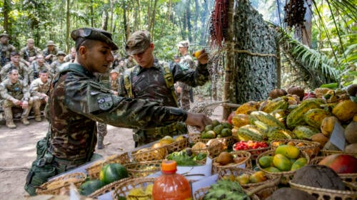 Soldados do Exército Brasileiro selecionam diferentes frutas localizadas na Amazônia para cortar, para que os soldados do Exército Sul dos EUA designados para a 101ª Divisão Aerotransportada (Assalto Aéreo) e a Guarda Nacional de Nova York as provem, durante um curso básico de familiarização com a selva brasileira, como parte do Southern Vanguard 24, em Belém, Brasil, em 2 de novembro de 2023. (Foto: Segundo-Sargento Jonathan Pietrantoni, da Guarda Nacional do Exército dos EUA)