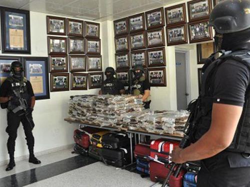 SANTO DOMINGO, Dominican Republic – The 35 suspects arrested on March 20 in connection with the seizure of 680 kilograms of cocaine found stashed aboard an aircraft at Punta Cana airport allegedly worked with a major smuggling ring that trafficked South American drugs to France, Belgium, the Netherlands and other European countries. (Courtesy of DNCD)
