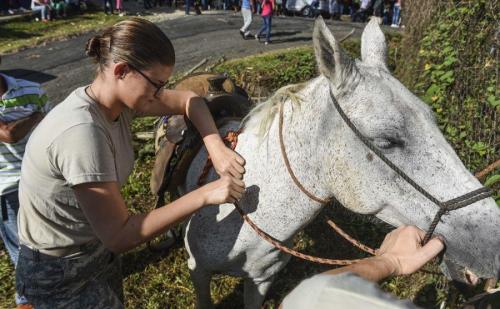 A Terceiro-Sargento do Exército dos EUA Caitlin Hinds, especialista em cuidado animal do esquadrão de operações médicas do SOUTHCOM, aplica uma vacina em um cavalo, em 11 de maio de 2018 (Foto: Cabo da Força Aérea dos EUA Dustin Mullen)
