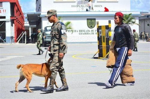 The Canine Unit is also getting ready to defend victims. In the photo, “Tortilla” walks on the opposite side of her master, which allows her to recognize a potential attacker. (Text and photo: Jennyfer Hernández for Diálogo)